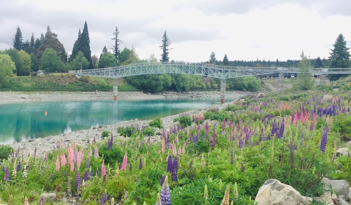 크라이스트처치